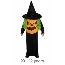 Child Halloween Jumbo Pumpkin Fancy Dress Costume 10 - 12 yrs