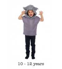 Children's Big Bad Wolf Book Day Fancy Dress Costume 10 - 12 yrs