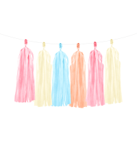 DIY Pastel Tassel Garland 2M