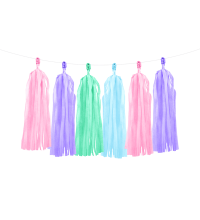 DIY Pink Purple Green Blue Tassel Garland 2M