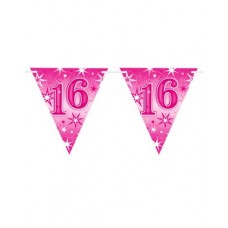 Pink Sparkle Age 16 Birthday Flag Banner